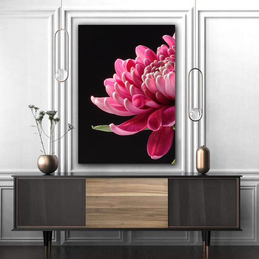 Tablou canvas crizantema roz in razele soarelui