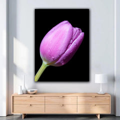 Tablou canvas floral cu lalea mov acoperita de roua pe fundal negru