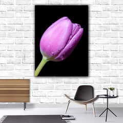 Tablou canvas floral cu lalea mov acoperita de roua pe fundal negru