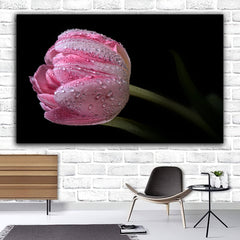 Tablou canvas cu lalea roz acoperita de roua pe fundal negru