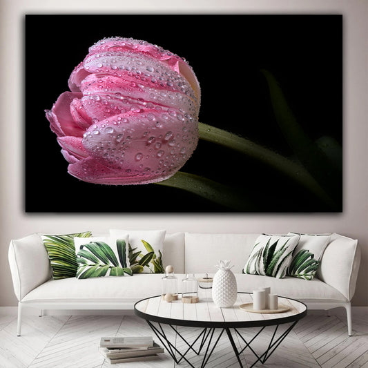 Tablou canvas cu lalea roz acoperita de roua pe fundal negru