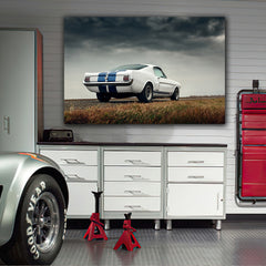 Tablou canvas Ford Mustang alb cu dungi albastre