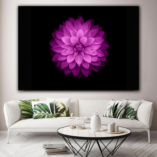 Tablou canvas floare dalie mov pe fundal negru