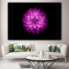 Tablou canvas floare dalie mov pe fundal negru