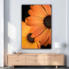 Tablou canvas margareta galbena acoperita cu roua pe fundal negru