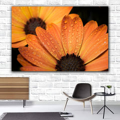 Tablou canvas margareta galbena acoperita cu roua pe fundal negru