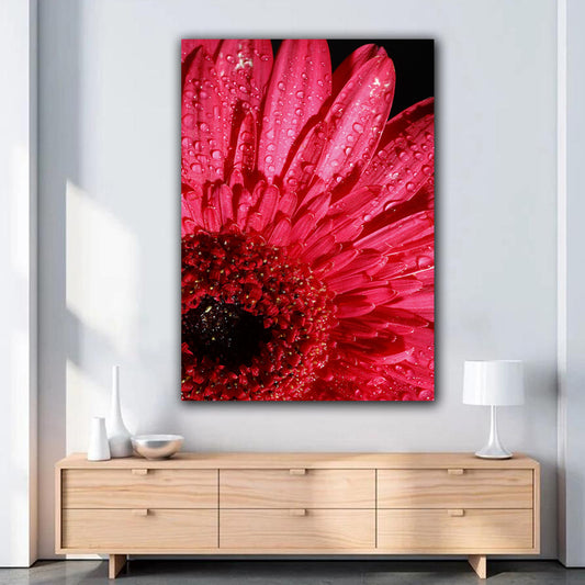 Tablou canvas margareta roz acoperita de roua in lumina naturala a soarelui