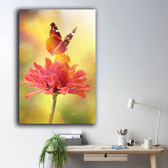 Tablou canvas floare roz cu fluture pe ea in lumina soarelui zinnia