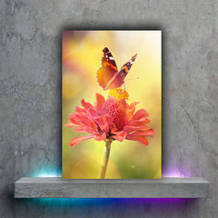 Tablou canvas floare roz cu fluture pe ea in lumina soarelui zinnia