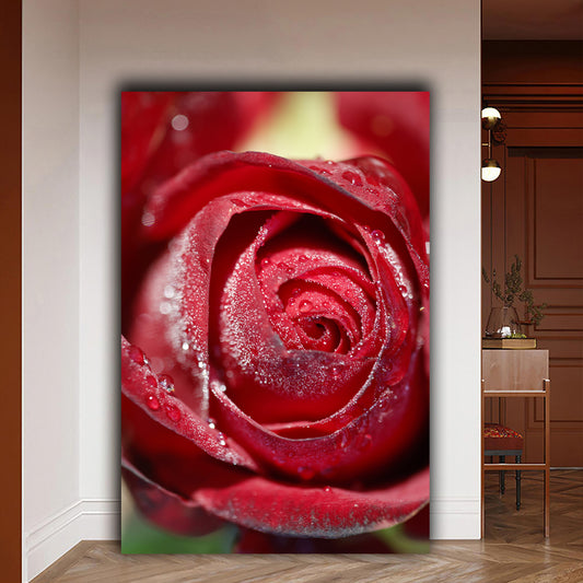 Tablou canvas trandafir rosu acoperit de roua diminetii