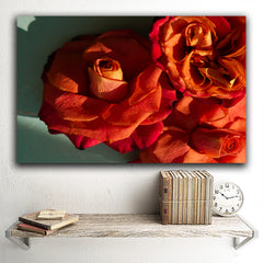 Tablou canvas flori de trandafir rosu cu portocaliu in razele soarelui