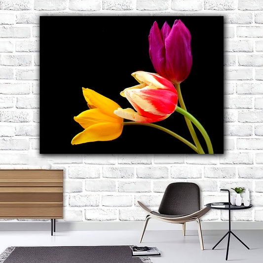 Tablou canvas lalele galben mov si rosu cu alb buchet in lumina naturala