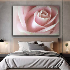 Tablou canvas trandafir alb cu accente roz acoperit de picaturi de ploaie