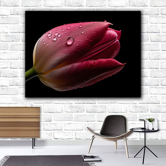 Tablou canvas lalea alba cu rosu acoperita cu roua