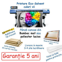 Tablou canvas bani Crumpled Benjamin