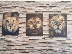 Set tablouri canvas leu THREE KINGS