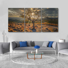 Tablou multicanvas 5 piese apus de soare SUNSET TREE