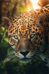 Tablou canvas HUNTING LEOPARD