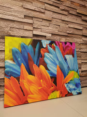 Tablou canvas flori macro COLORFUL ATTRACTIVE FLOWER