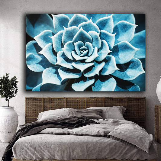 Tablou canvas floare albastra suculenta cu frunze groase si simetrice floare de piatra echeveria