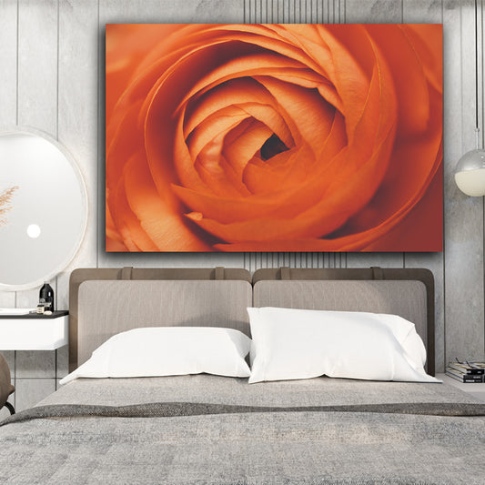 Tablou canvas trandafir portocaliu abia inflorit in lumina naturala