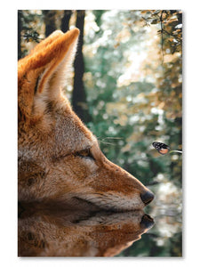 Tablou canvas CURIOUS FOX