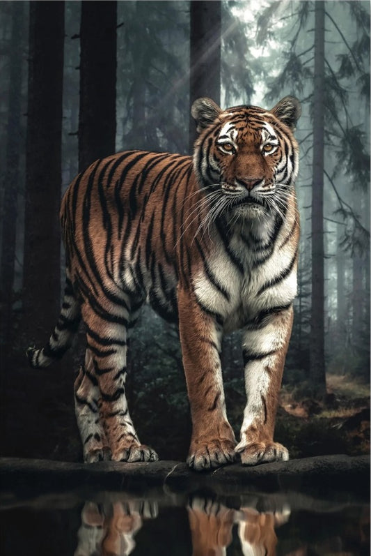 Tablou canvas ROYAL TIGER